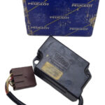 Elemento ajuste borboleta Peugeot 405 original 6447.58